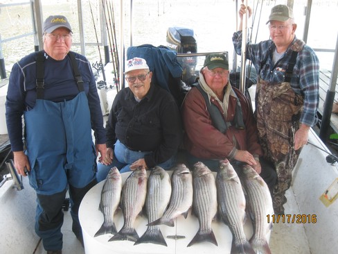 Nice Striped Bass